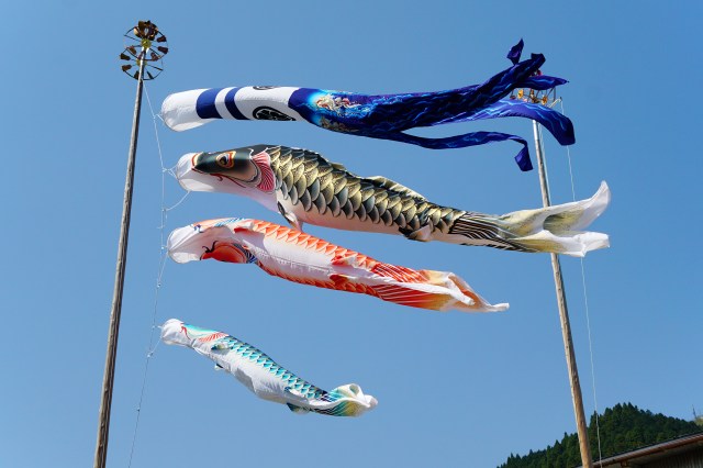 150425_Koinobori_Chizu_Tottori_pref_Japan01bs