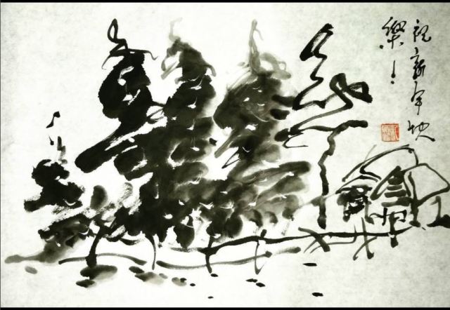 Xmas Trees Freestyle-Dec2017 Instagram